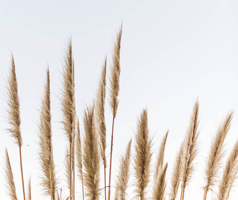 La justicia de los hombres vs la de Dios